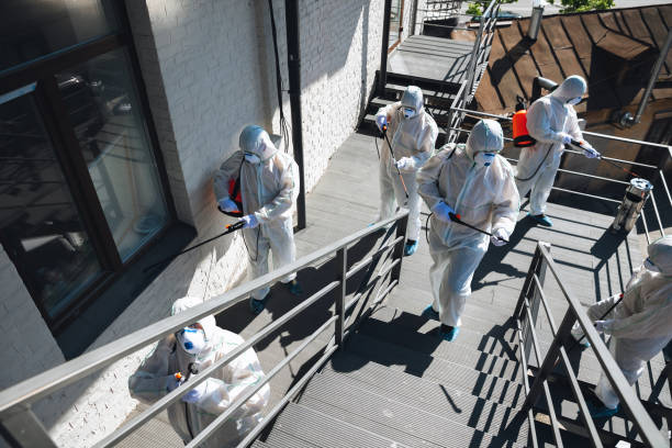Best Mold Prevention Services  in Vineyard, CA